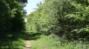 Bois de Cerf